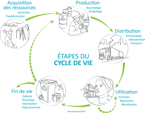 cycle-vie