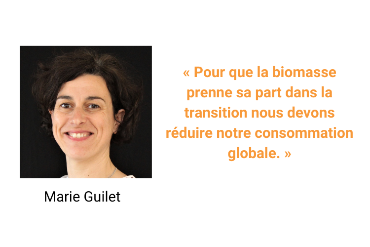 marie-guilet-biomasse-normandie